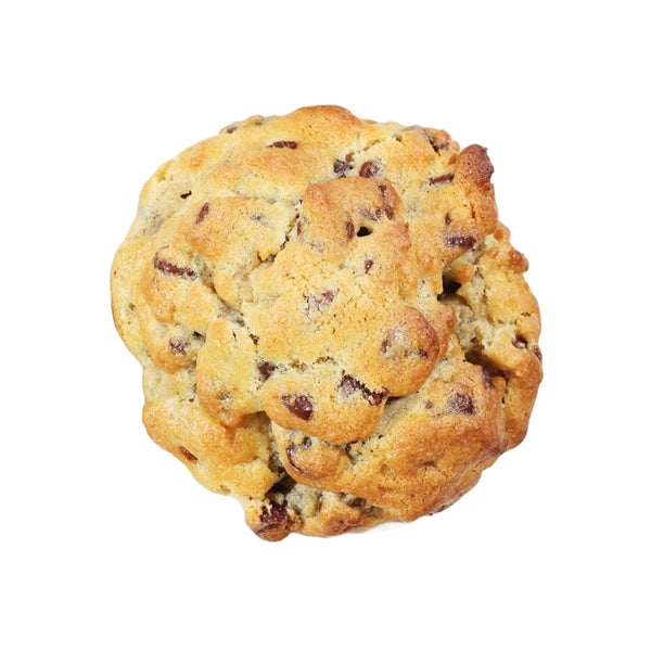 Chocolate chip walnut cookie