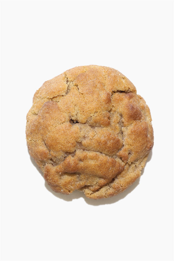 Double Doodle "snickerdoodle"