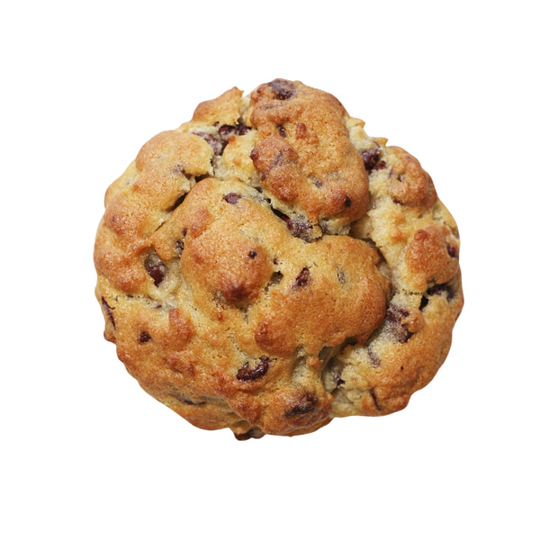 6oz chocolate chip cookie