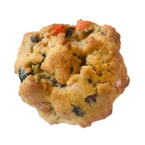 Close-up of a cookie a white background